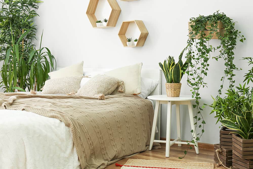 Schlafzimmer mit grünen Zimmerpflanzen