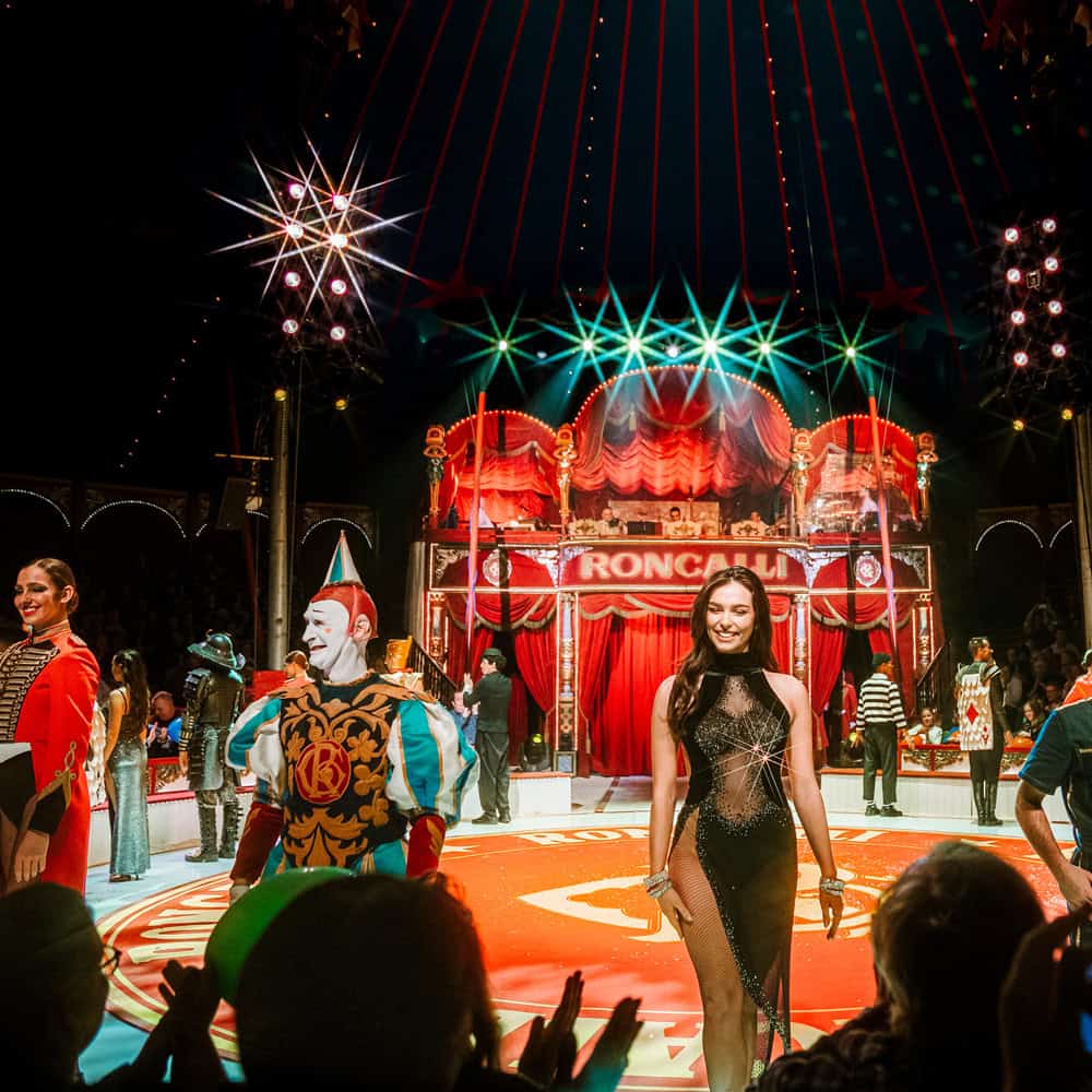 Finale im Zirkus mit Artisten