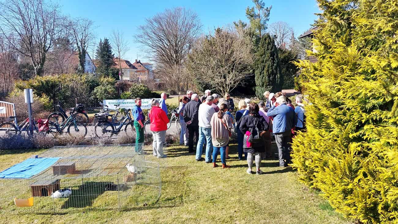 Rosenschnitt Vorführung n einem Garten